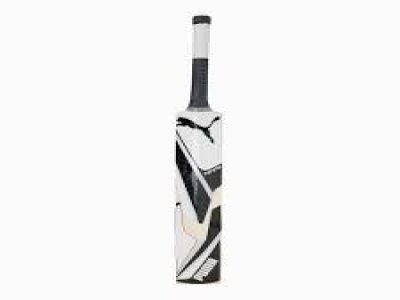 Cricket Bat